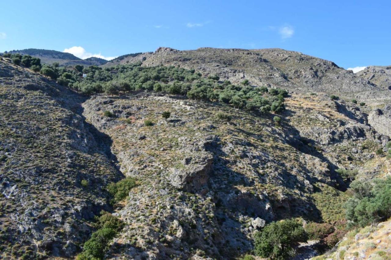 Mesohori Studios Σφακιά Εξωτερικό φωτογραφία