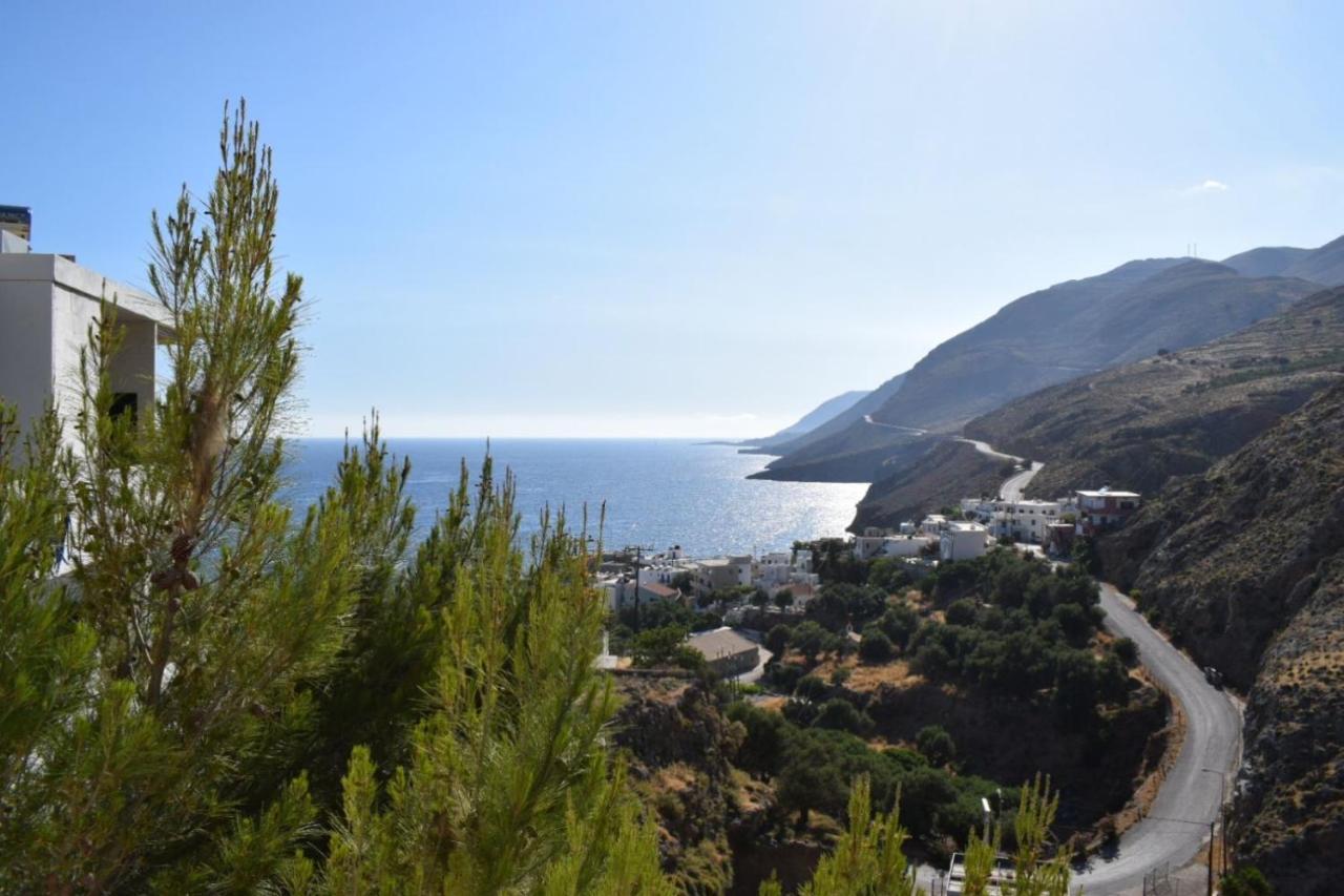 Mesohori Studios Σφακιά Εξωτερικό φωτογραφία
